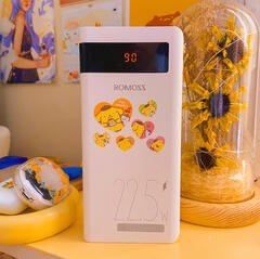 ROMOSS Powerbank