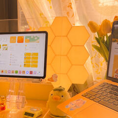 Cololight Hexagon (Code: COLOLIGHT-MIRASOUL)