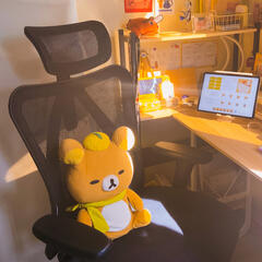 SIHOO M57 Ergonomic Chair